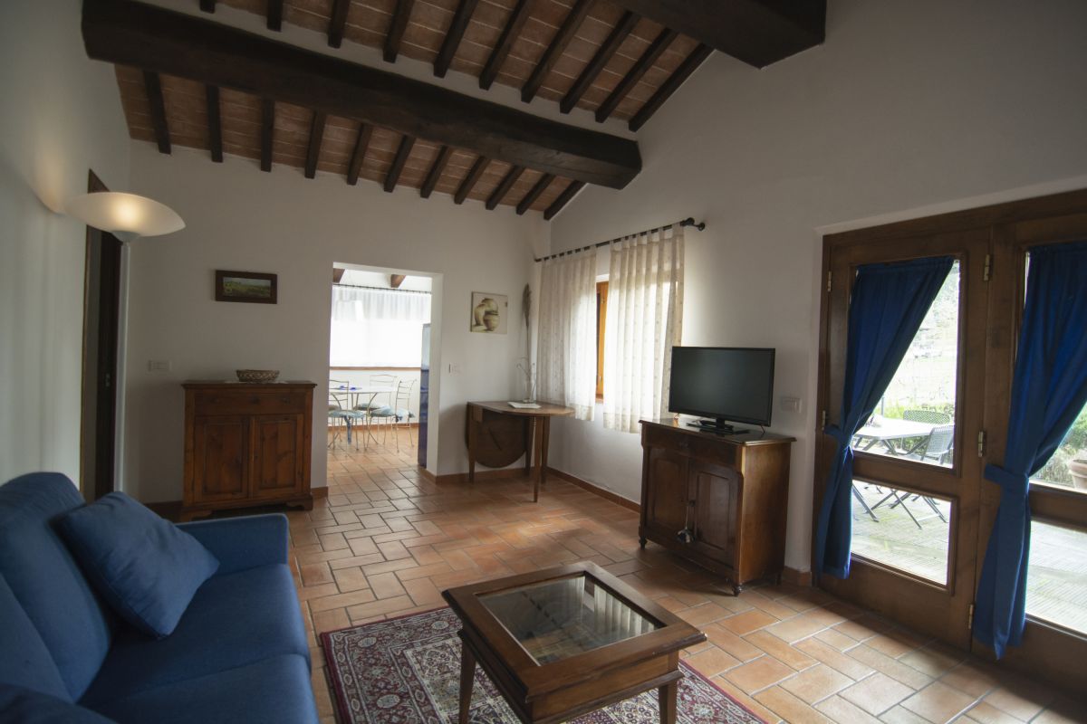 Iris, Raccianello farmhouse in San Gimignano: photo 9