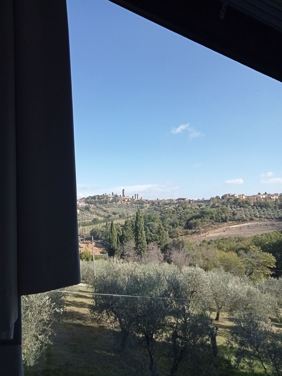 Iris, Raccianello farmhouse in San Gimignano: photo 10