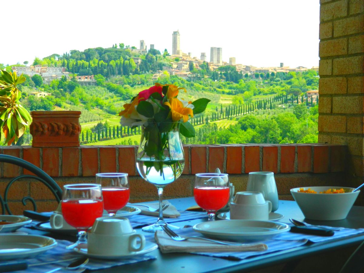 Camelia, Raccianello farmhouse in San Gimignano: photo 3