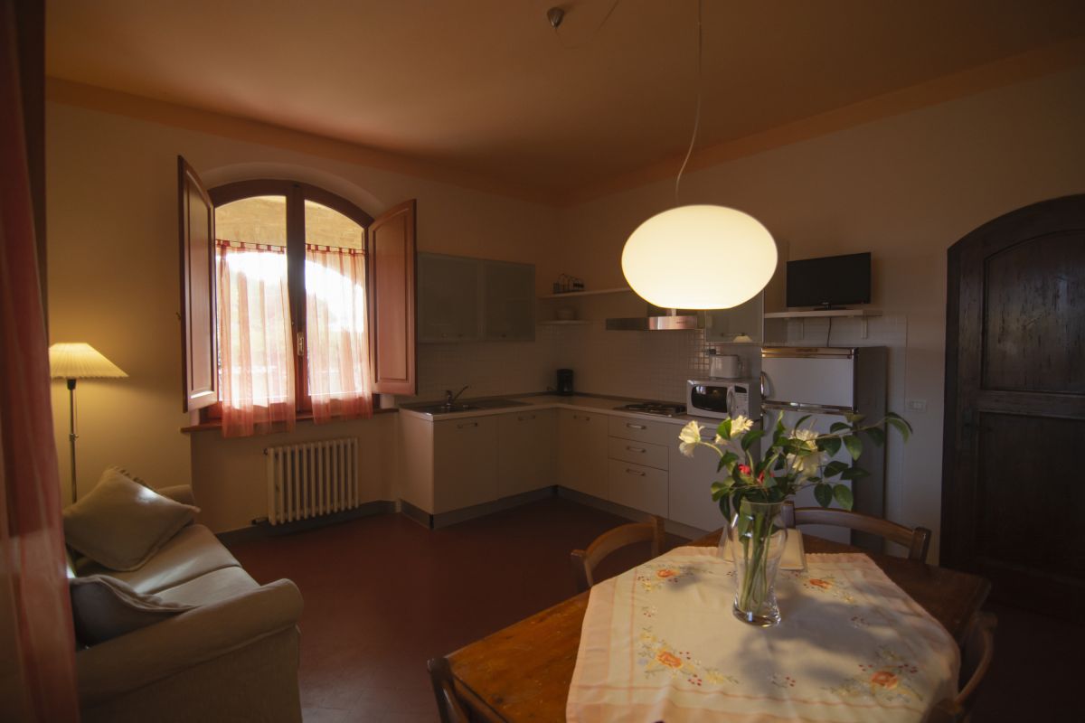 Edera, Raccianello farmhouse in San Gimignano: photo 1