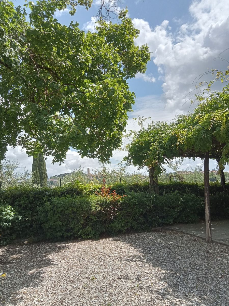 Edera, Raccianello farmhouse in San Gimignano: photo 11