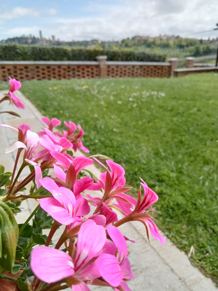 La Villa, agriturismo Raccianello a San Gimignano: foto 15