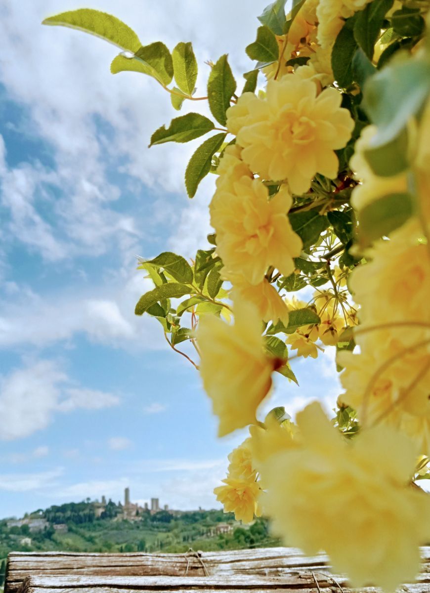 La Villa, agriturismo Raccianello a San Gimignano: foto 16