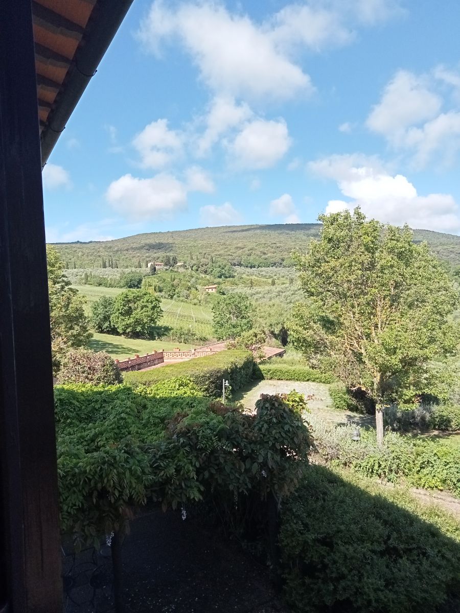 Camelia, Raccianello farmhouse in San Gimignano: photo 1