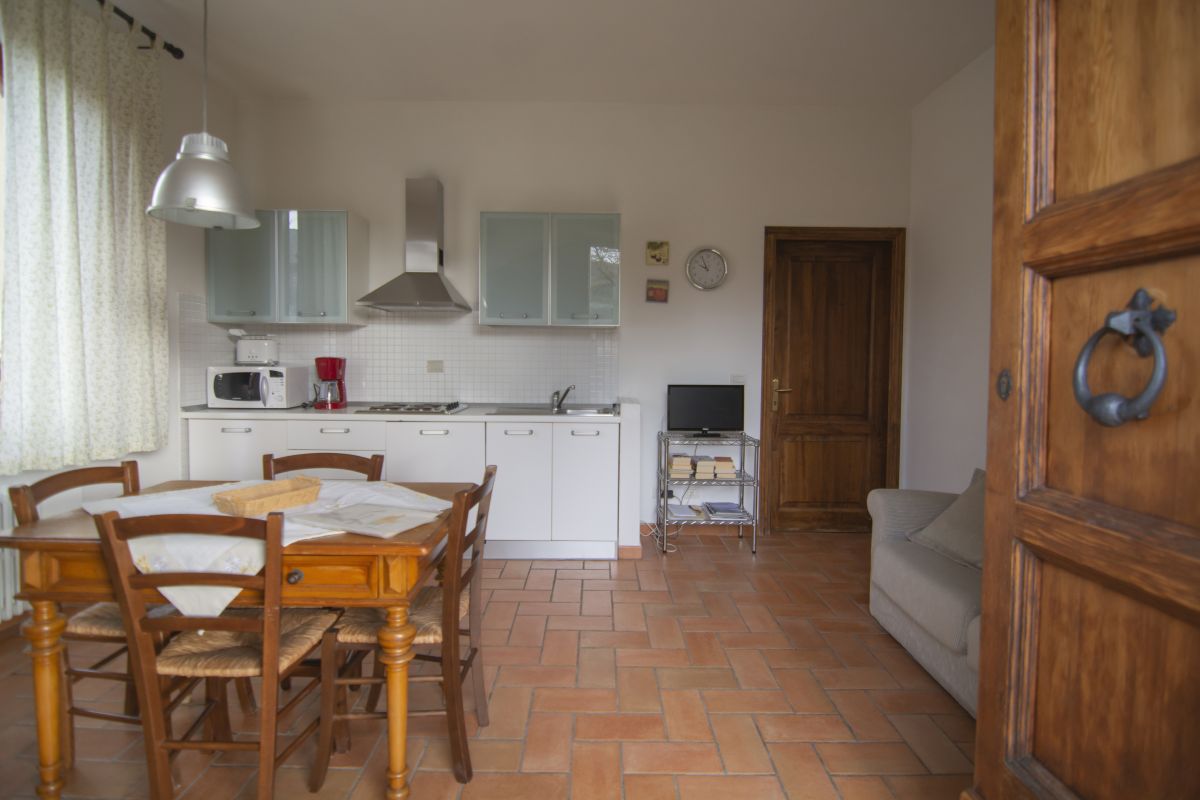 Mimosa, Raccianello farmhouse in San Gimignano: photo 5